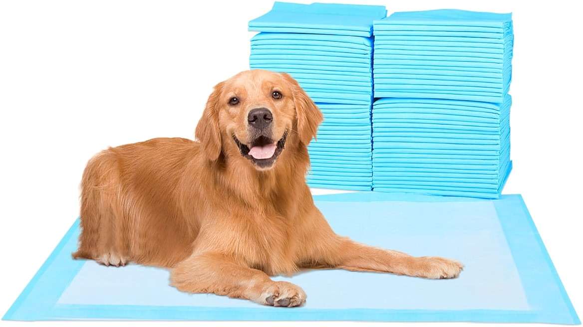 Super Absorbent Waterproof Dog and Puppy Pet Training Pad, Housebreaking Pet Pad, 40-Count Extra Middle-Size, 30’’X30’’, Blue - Image 1