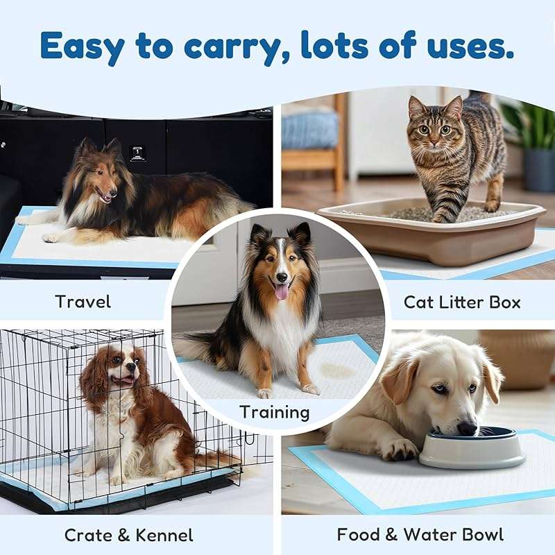 Super Absorbent Waterproof Dog and Puppy Pet Training Pad, Housebreaking Pet Pad, 40-Count Extra Middle-Size, 30’’X30’’, Blue - Image 7