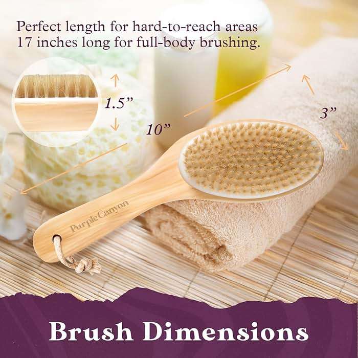 Purple Canyon Body Brush – Natural Boar Bristle Dry Brush for Exfoliating, Lymphatic Drainage, Cellulite Appearance, and Circulation – Curved Wooden Handle for Easy Back & Body Brushing - Image 3