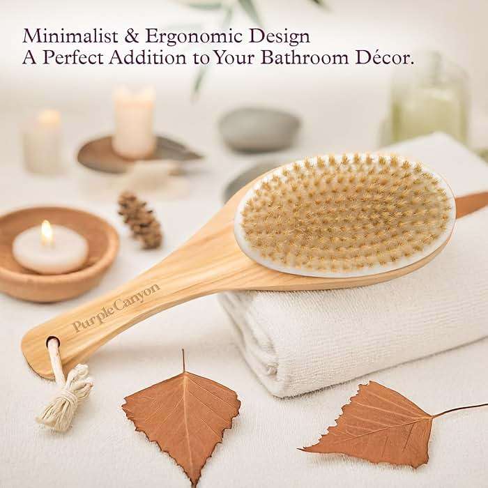 Purple Canyon Body Brush – Natural Boar Bristle Dry Brush for Exfoliating, Lymphatic Drainage, Cellulite Appearance, and Circulation – Curved Wooden Handle for Easy Back & Body Brushing - Image 7