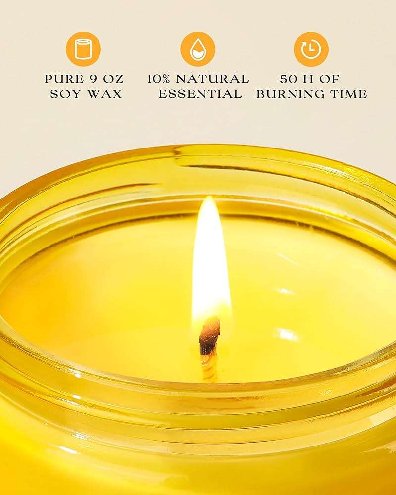 AOOVOO Citrus Lemon Odor Eliminating Highly Fragranced Candle - Eliminates 95% of Pet, Smoke, Food, and Other Smells Quickly, Non Toxic Air Freshing Soy Candle, 9 oz Up to 50 Hours Burn time - Image 3