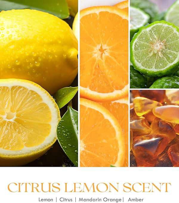 AOOVOO Citrus Lemon Odor Eliminating Highly Fragranced Candle - Eliminates 95% of Pet, Smoke, Food, and Other Smells Quickly, Non Toxic Air Freshing Soy Candle, 9 oz Up to 50 Hours Burn time - Image 5