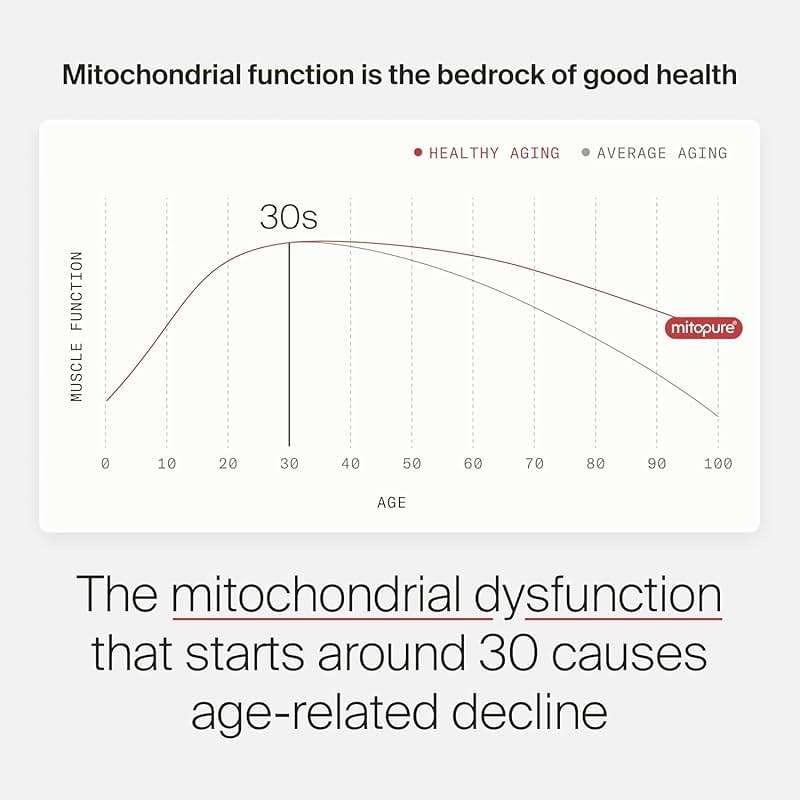 Timeline Mitopure Urolithin A Supplement Powder 500 MG- Clinically Proven Support for Healthy Aging and Cellular Renewal - Mitoceutical for Muscle Support and Longevity - Image 5