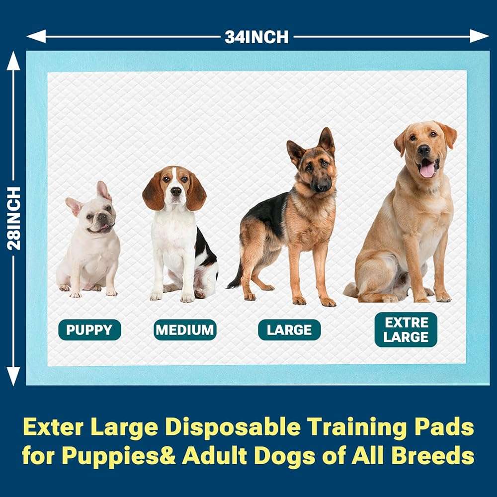 Clean Spaces Extra Large Puppy Pads 28"x34",Super Absorbent Disposable Pee Pads for Dogs / Wee Wee Pads / Potty Training Pads, Incontinence Bed Underpads for Adults, 50 Count - Image 8