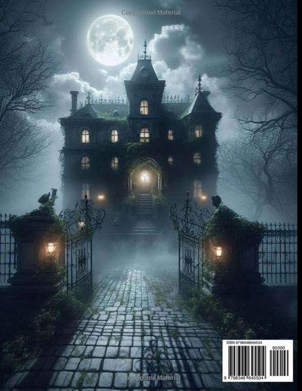 The Silent Witness: A Secret Clock, A great Story book - Image 2