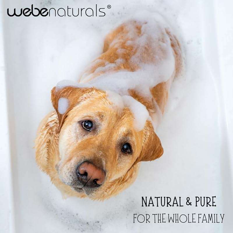 WEBE Pure Unscented Castile Liquid Soap Refill, 64 Ounce | Vegan & Gluten Free Non-GMO, For Face, Body Wash, Dishes, Pets & Laundry - Image 7