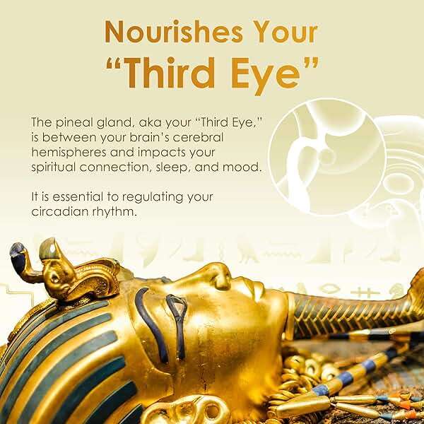 Pharaoh's Nectar XT | 24K Monoatomic Gold Ormus Liquid | Third Eye Awakening + Vivid Dreaming | Clean Energy + Mental Clarity | Spiritual Supplement | 60mL - Image 5