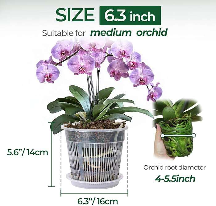 T4U Orchid Pot, 6 Pack 6.3 Inch Orchid Pots with Holes and Saucers, Clear Orchid Pots for Repotting, Plastic Flower Plant Pot for Indoor Outdoor Plants, Slotted Orchids Planter for Root Health - Image 3