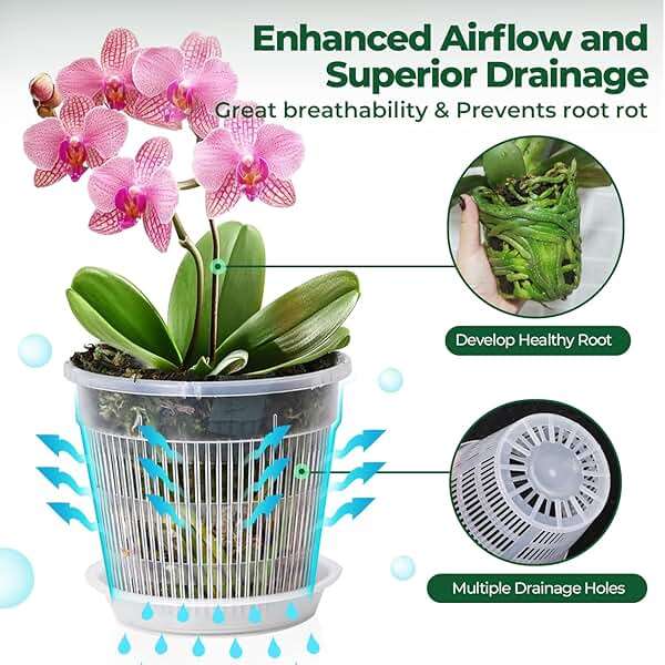 T4U Orchid Pot, 6 Pack 6.3 Inch Orchid Pots with Holes and Saucers, Clear Orchid Pots for Repotting, Plastic Flower Plant Pot for Indoor Outdoor Plants, Slotted Orchids Planter for Root Health - Image 4