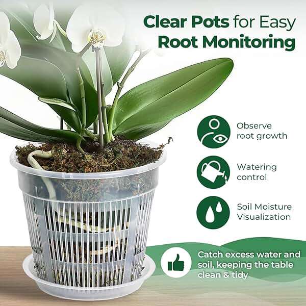 T4U Orchid Pot, 6 Pack 6.3 Inch Orchid Pots with Holes and Saucers, Clear Orchid Pots for Repotting, Plastic Flower Plant Pot for Indoor Outdoor Plants, Slotted Orchids Planter for Root Health - Image 6