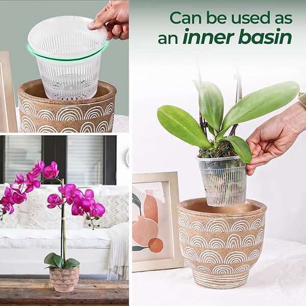 T4U Orchid Pot, 6 Pack 6.3 Inch Orchid Pots with Holes and Saucers, Clear Orchid Pots for Repotting, Plastic Flower Plant Pot for Indoor Outdoor Plants, Slotted Orchids Planter for Root Health - Image 9