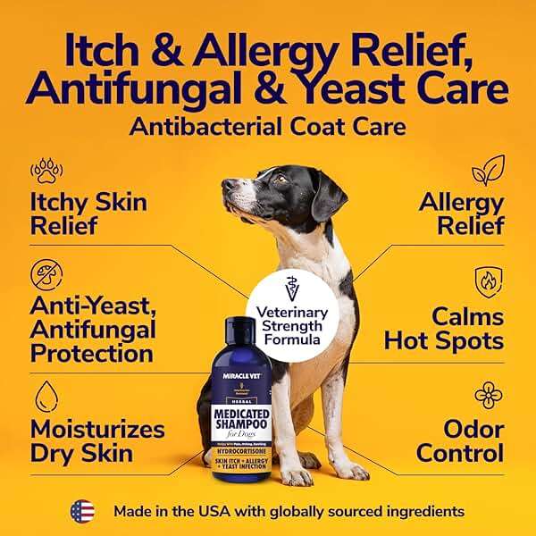 Miracle Vet Medicated Dog Shampoo for Itchy Skin Relief - Antifungal for Dog Allergy Relief, Yeast Infection, Hot Spot & Dry Skin Anti-Itch Treatment Wash - Hydrocortisone (16 oz) - Image 2
