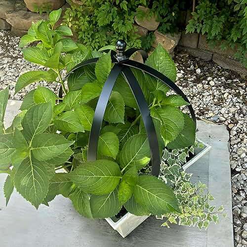 YOHSNOR Set of 2 Metal Garden Trellis Obelisks - Durable Black Powder Coated Round Climbing Frames for Plants - Ideal Decorative Support for Flowers & Vines - Ideal for Indoor & Outdoor Gardens - Image 8