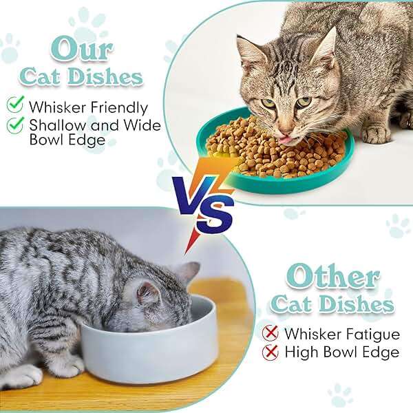 Apatal Silicone Cat Food Bowls Shallow Cat Dishes 5.9in Wide Pet Plates Set of 2 Small Flat Dog Saucer Bowl Cute Whisker Fatigue Kitten Feeding Dish for Dry & Wet Food (Round Purple) - Image 4