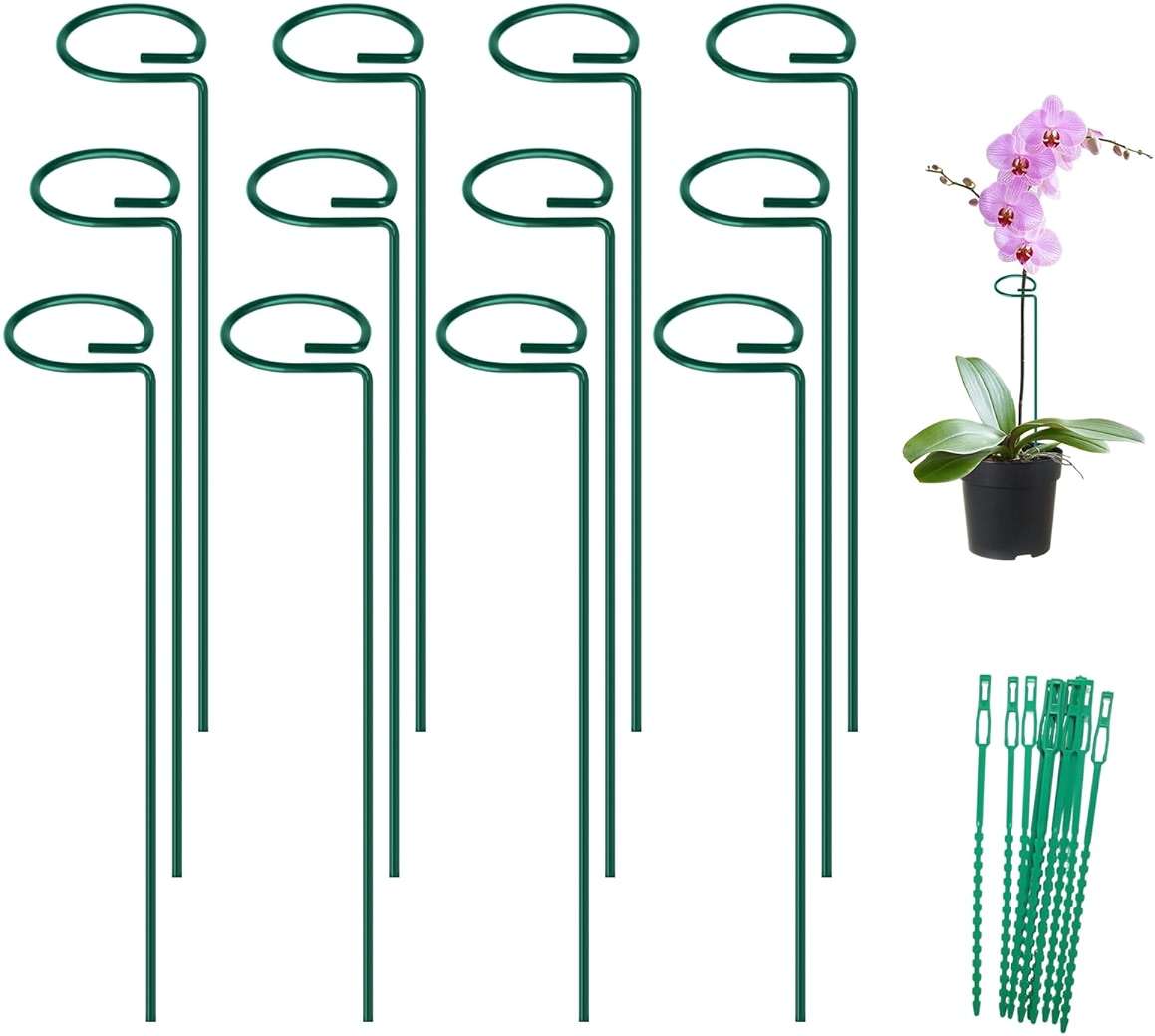 FEED GARDEN 16 Inch 12 Pack Plant Support Stakes, Metal Garden Flower Stakes and Supports for Outdoor Plants, Plant Stem Support with 24 Twist Ties for Amaryllis Lily Rose Peony Tomatoes Gladiolus - Image 1