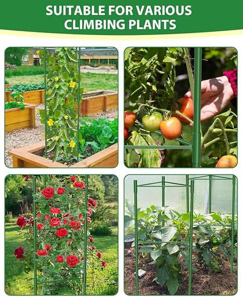 MYMULIKE 3 Pack Tomato Cages for Garden, 51in*13in Adjustable Tomatoes Plant Stakes Support Cages Trellis, Garden Trellis for Vegetable Flowers Fruits Climbing Plants- 20 Binding Wires Included - Image 5