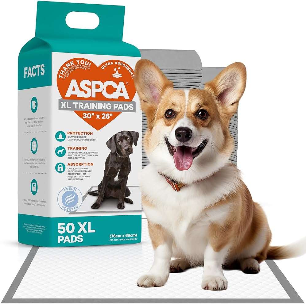 ASPCA Scented Puppy Pads, [50 Count], Dog Pee Pads for Training, Absorbent Potty Pads for Dogs, Quick-Drying Leakproof Large Dog Pads with Odor Control, 26"x30", XL Puppy Pads for Indoor/Outdoor Use - Image 1