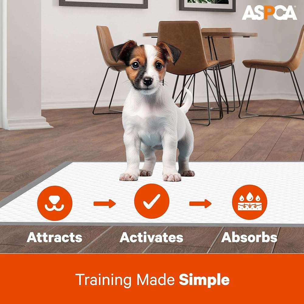 ASPCA Scented Puppy Pads, [50 Count], Dog Pee Pads for Training, Absorbent Potty Pads for Dogs, Quick-Drying Leakproof Large Dog Pads with Odor Control, 26"x30", XL Puppy Pads for Indoor/Outdoor Use - Image 3