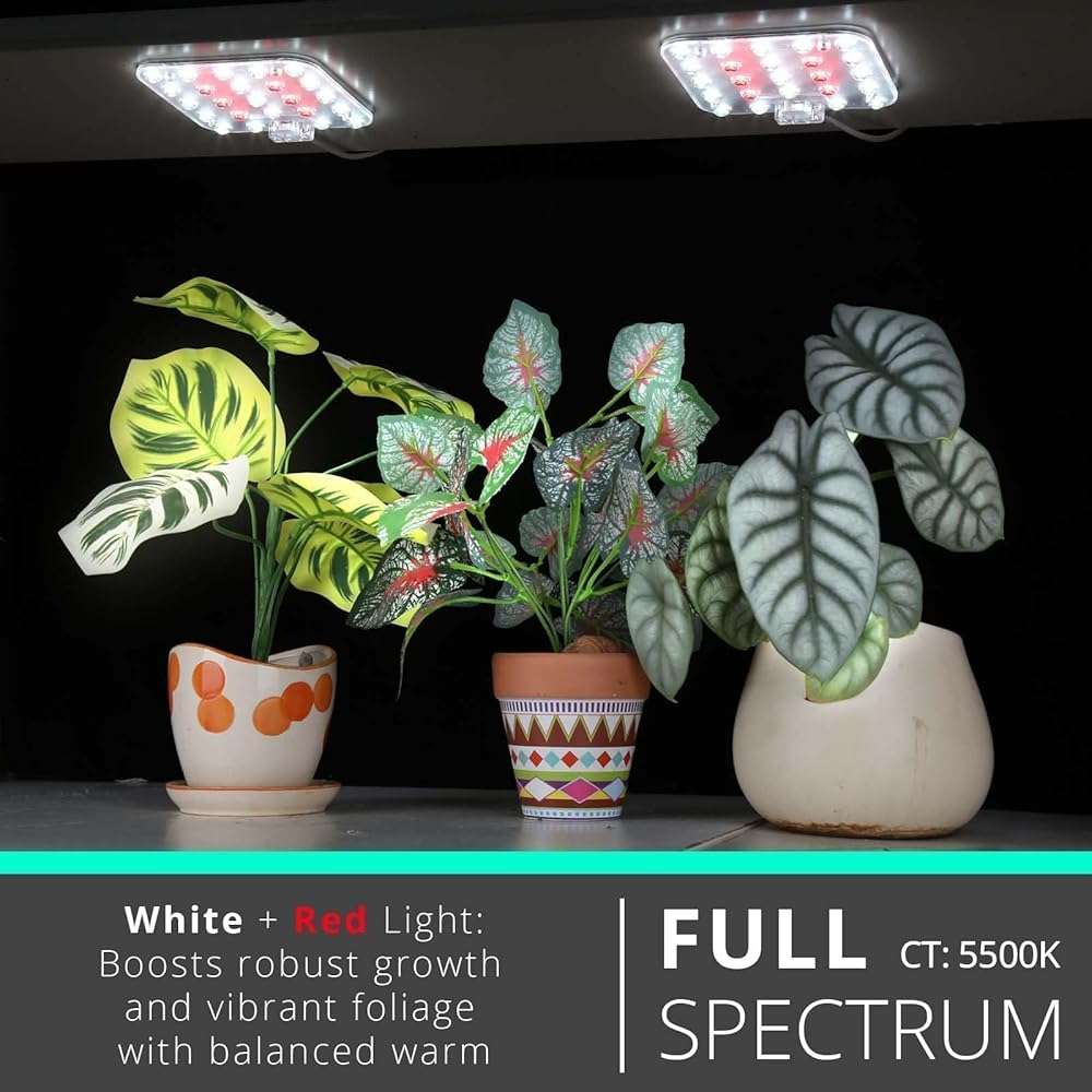 DOMMIA Full Spectrum LED Grow Light for Indoor Plants, 2 Panels 10W with 6/12/16h Timer Dimmable Plant Lights for Flower Veg Plant Growth USB, Daylight White, 1-Pack - Image 2