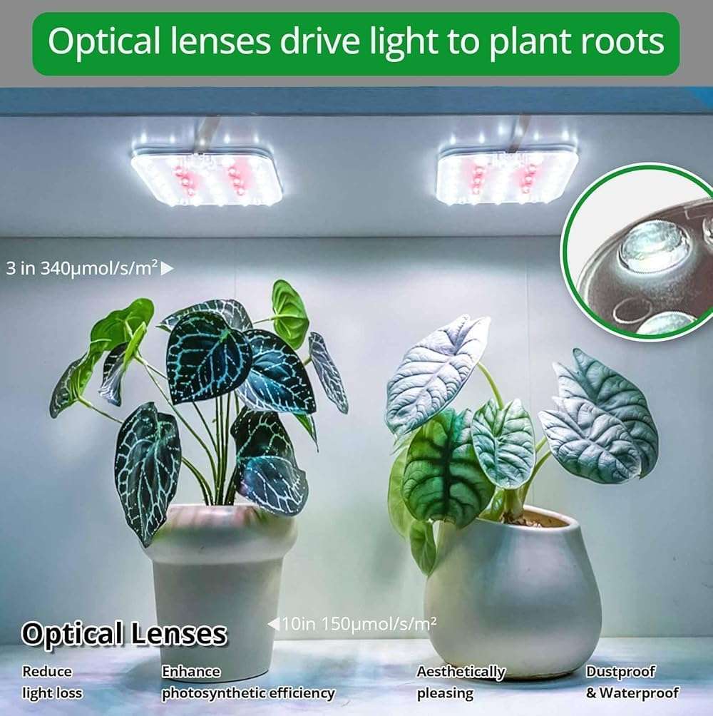 DOMMIA Full Spectrum LED Grow Light for Indoor Plants, 2 Panels 10W with 6/12/16h Timer Dimmable Plant Lights for Flower Veg Plant Growth USB, Daylight White, 1-Pack - Image 5
