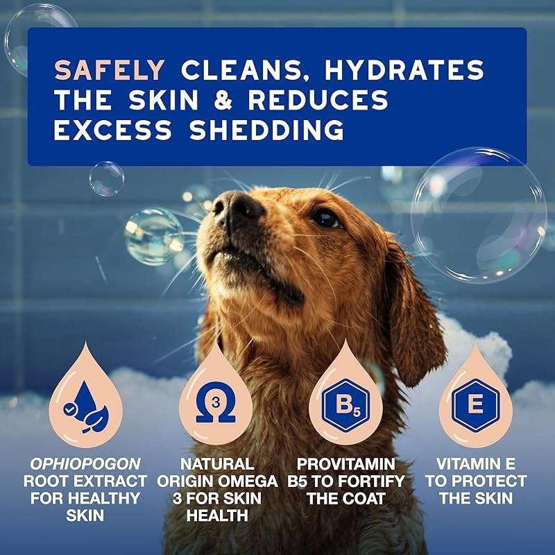 DOUXO SPA Shed Control Dog Shampoo, 16 fl oz. Reduces Excessive Shedding, Cleans and Hydrates the Skin, Leaves the Coat Soft, Radiant, and Smelling Great - Image 3