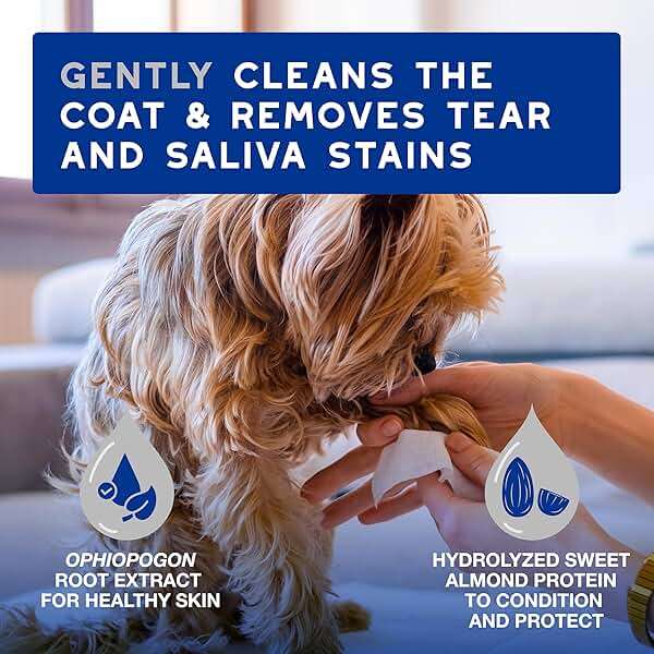 DOUXO SPA Dog Wipes for Paws, Butts, Tear Stains and General Cleaning, 100 Wipes, Multi-Purpose for Coat and Paws, Leaves the Coat and Skin Refreshed, Skin-Friendly Formula, Can Also be Used for Cats - Image 3