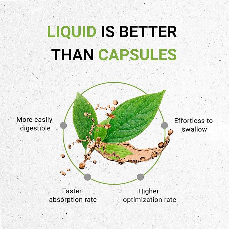 Secrets of the Tribe Matcha Green Tea USDA Organic | Alcohol-Free Extract, High-Potency Herbal Drops | Made from 100% Certified Organic Green Tea, Matcha (Camellia sinensis) Dried Leaf (2 oz) - Image 2