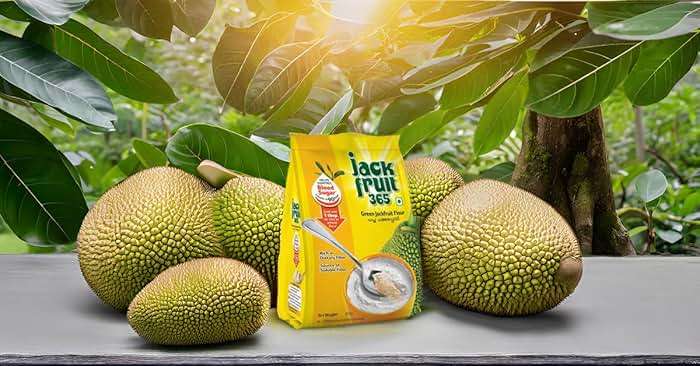 Jackfruit365 Green Jackfruit Flour 400g (Pack of 2) | Clinically Proven to Lower Sugar in 90 Days | Gluten Free, Low GI, High Soluble Fiber | Diabetic Friendly Indian Superfood | Non-GMO, No Additives | Works with Baking, Roti, Dosa, Idli - Image 9