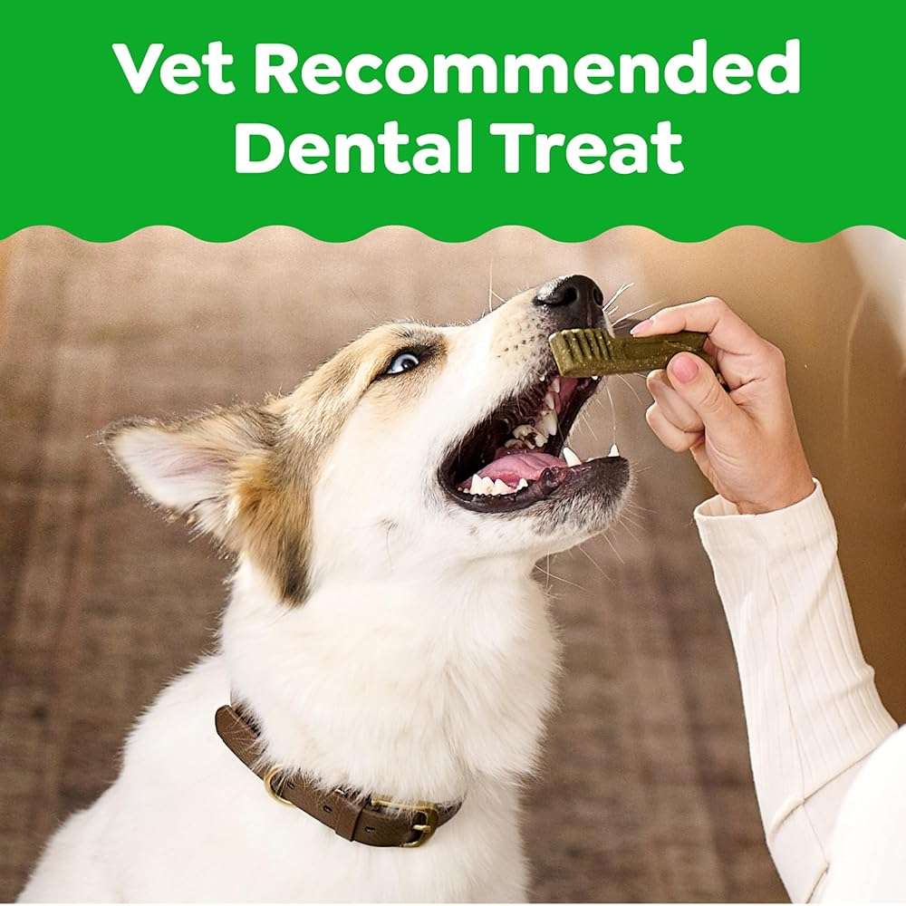 Greenies Dog Treats Veterinarian-Recommended Natural Dental Treats for Dogs, Teenie Size, Variety Pack Flavor, (3) 12 oz. Packs, 130 Count - Image 2