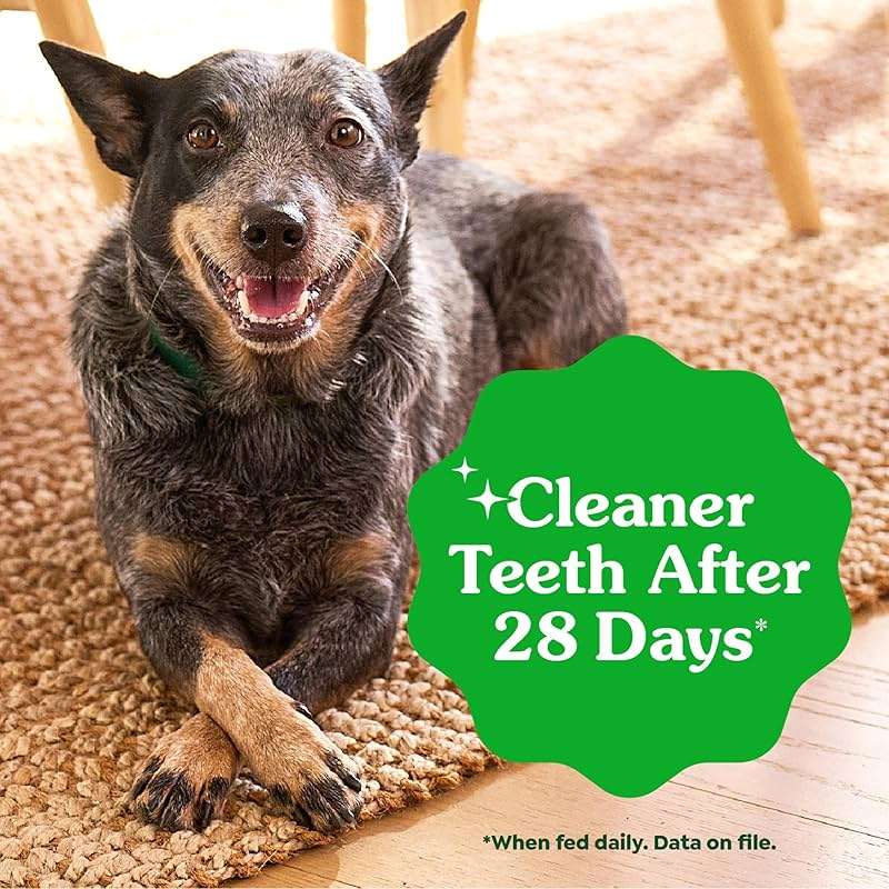 Greenies Dog Treats Veterinarian-Recommended Natural Dental Treats for Dogs, Teenie Size, Variety Pack Flavor, (3) 12 oz. Packs, 130 Count - Image 4