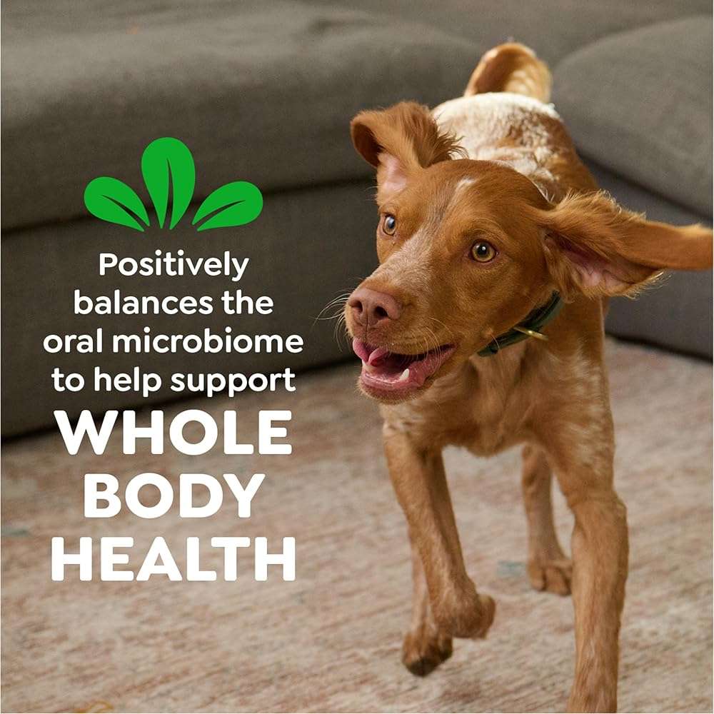 Greenies Dog Treats Veterinarian-Recommended Natural Dental Treats for Dogs, Teenie Size, Variety Pack Flavor, (3) 12 oz. Packs, 130 Count - Image 8
