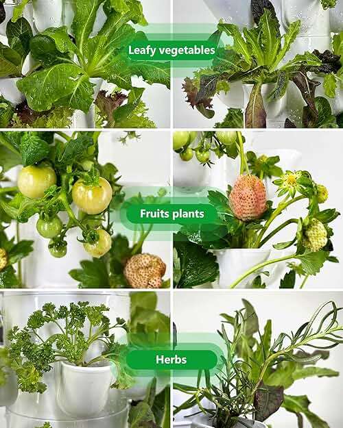 DPROOTS Hydroponic Tower Growing System, 30 Pods Vertical Indoor Garden | 360° Full-Spectrum Lights, Automatic Water Circulation System, Suitable for Leafy Greens and Herbs - Image 6