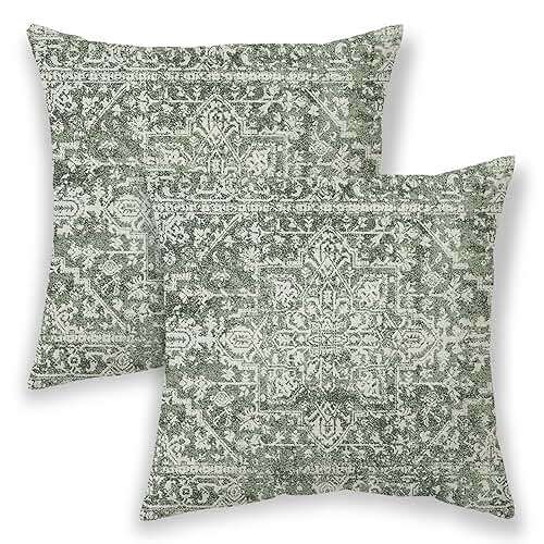 BETGINY Boho Pillow Covers 20x20, Sage Green Cream Ethnic Design Outdoor Decorative Throw Pillows for Couch, Carpet Pattern Decor Cushion Cover 2 Pcs Farmhouse Linen Pillowcase for Bed Car Safa - Image 1
