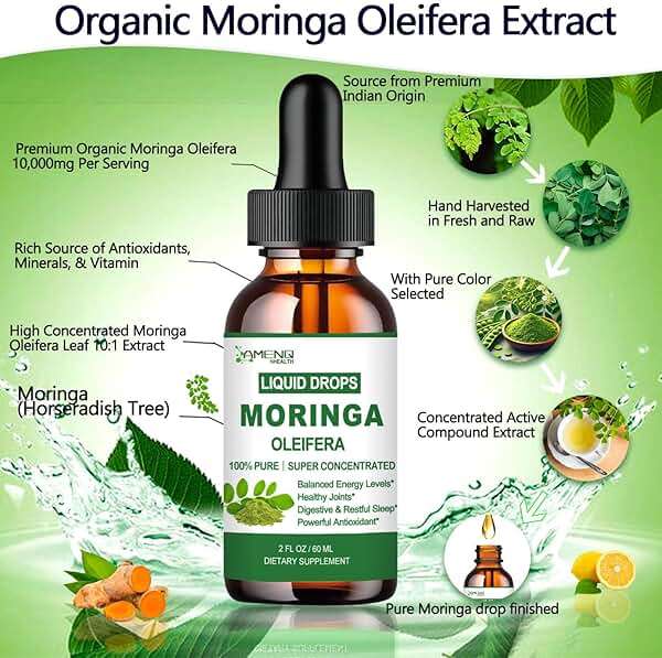 Pure Moringa Oleifera Liquid Drops, Organic Moringa Leaf Extract w. Turmeric, Black Pepper, Moringa Supplement for Energy Metabolism Immune Skin Joint & Gut, 6X Stronger Than Moringa Capsules Powder - Image 2