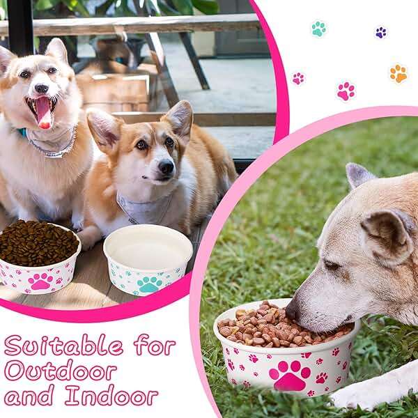 Mifoci 40 Pieces Disposable Pets Bowls 12 oz Colorful Paper Dog Bowls Cute Foot Print Design Food Dishes for Feeding Dogs and Cats Puppies Travel Wet Dry Food Water - Image 6