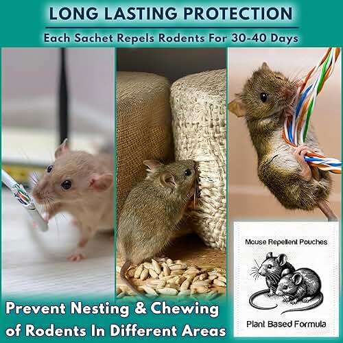 10Pack Natural Mouse Repellent Pouches Indoor Powered by Botanical Scent Mice Repellent Pouches Rodent Repellent Pouches vamoose Rodent-repelling Pouches for House Basement Attic Shed Barn Storage Rv - Image 8