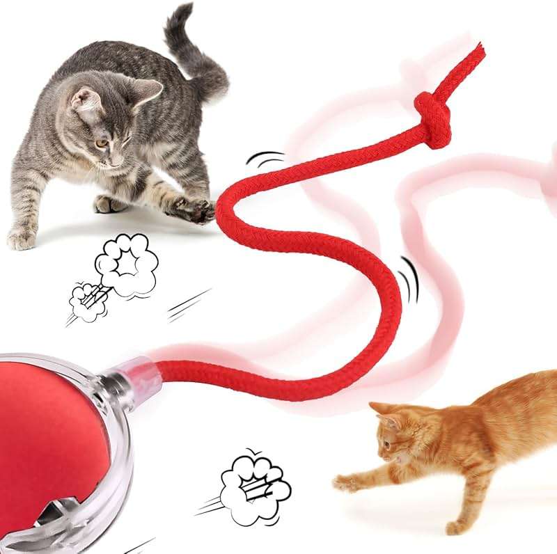 BOXOB 5Pcs Interactive Cat Toy Balls Replacement Ropes, Cat Ball Tail Kitten Ball Toy Tail Red Cotton Thread Cat Toy Rolling Ball Tail for Cat Toy Ball Accessories - Image 4