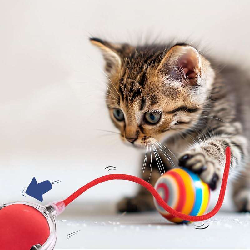 BOXOB 5Pcs Interactive Cat Toy Balls Replacement Ropes, Cat Ball Tail Kitten Ball Toy Tail Red Cotton Thread Cat Toy Rolling Ball Tail for Cat Toy Ball Accessories - Image 6