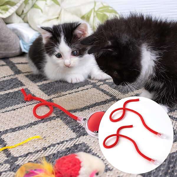 BOXOB 5Pcs Interactive Cat Toy Balls Replacement Ropes, Cat Ball Tail Kitten Ball Toy Tail Red Cotton Thread Cat Toy Rolling Ball Tail for Cat Toy Ball Accessories - Image 7