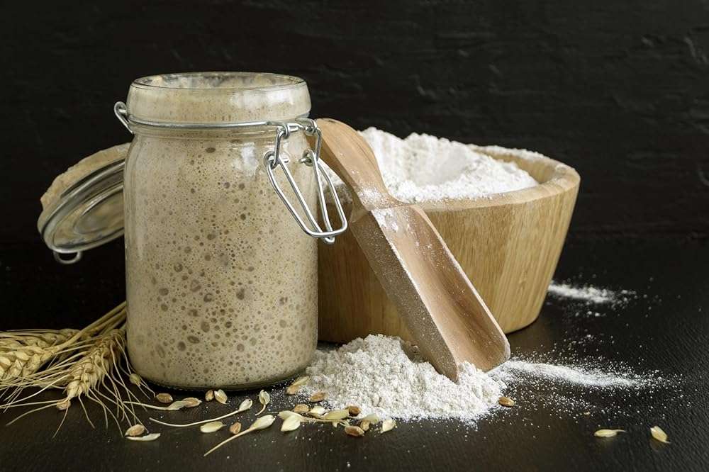German Sourdough Starter - Active Sourdough Starter for Delicious Homemade German Artisan Bread - Heirloom Sourdough from Germany - Image 3