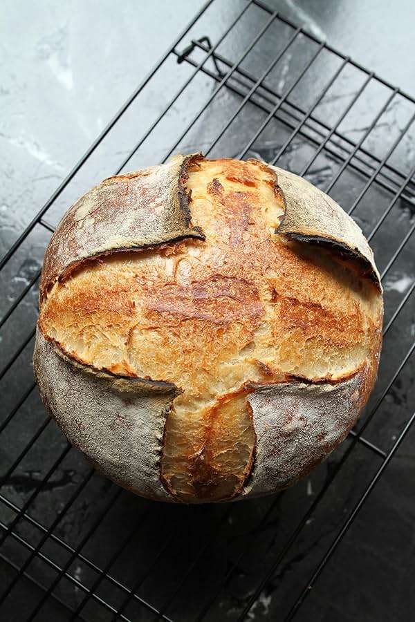 German Sourdough Starter - Active Sourdough Starter for Delicious Homemade German Artisan Bread - Heirloom Sourdough from Germany - Image 7