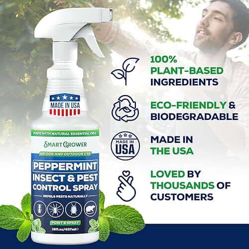 Peppermint Oil Spray for Insects, Pests, Rodents, Mice, Bugs, Spiders, Ants & Wasps - All Natural Pest Control Repellent for Home, Indoor, Outdoor, Garden, Maximum Strength, Ready-to-Use, 16 FL OZ - Image 4