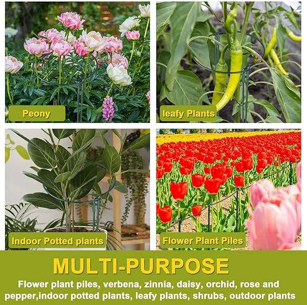 HiGift 4 Pack Height Adjustable Plant Support Stakes(12" or 24" or 36" H), Metal Peony Cages and Support Ring Half Round Garden Tall Plant Support for Indoor Outdoor Plant Snake Hydrangea Flowers - Image 7