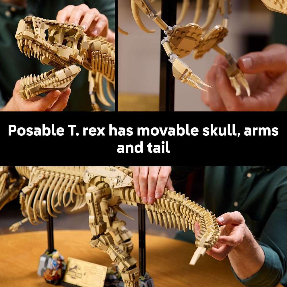 LEGO Jurassic World Dinosaur Fossils: Tyrannosaurus Rex - Building Set for Adults, Ages 18+ - Dinosaur Gift for Movie Lovers - Collectible Home Decor for Bedroom, Office, or Any Room - 76968 - Image 5