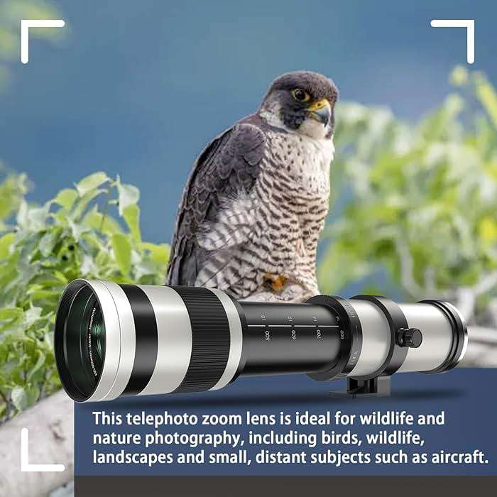 Lightdow RF 420-800mm F8.3 Telephoto Zoom Lens - MF for Canon EOS R6 Mark II/R5 Mark II/R5/R3/R7/R8/R10/RP/R6/R50/R1/R5 C/R50 V/R100/R/Ra - Manual Focus Mirrorless Cameras Lens(RF Mount,White) - Image 5