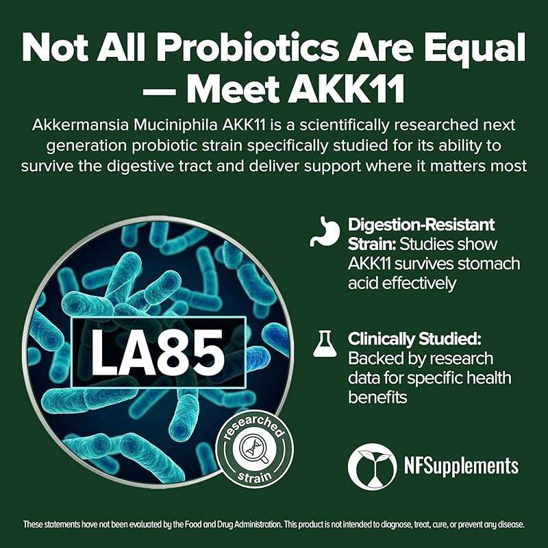 Akkermansia Muciniphila Probiotic 240 Tablets (4 Month Supply) - 100 Million AFU Researched Strain AKK11 - Supports Digestive Health & Gut Lining - GMP Certified (240, Akkermansia Muciniphila) - Image 2