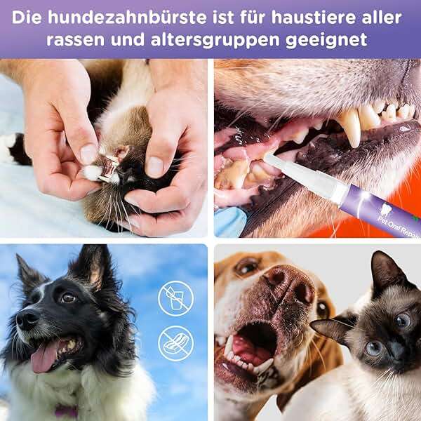 6Pcs Pet Oral Repair Gel, Dog Oral Repair Gel, Pet Breath Freshener for Cats and Dogs, Removes Tartar, Keeps Breath Fresh, Strengthens Teeth,No Brushing Oral Care Cleaner,3ML - Image 7