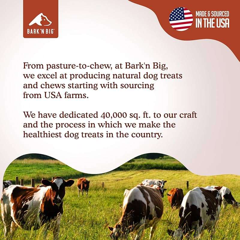 BARK'N BIG Bison Dog Treats - Single Ingredient Lung Dog Treats - Made & Sourced in USA - Dehydrated Bison, High Protein, Low Fat, Easily Digestible for Dogs with Sensitive Stomachs - 5 oz - Image 6