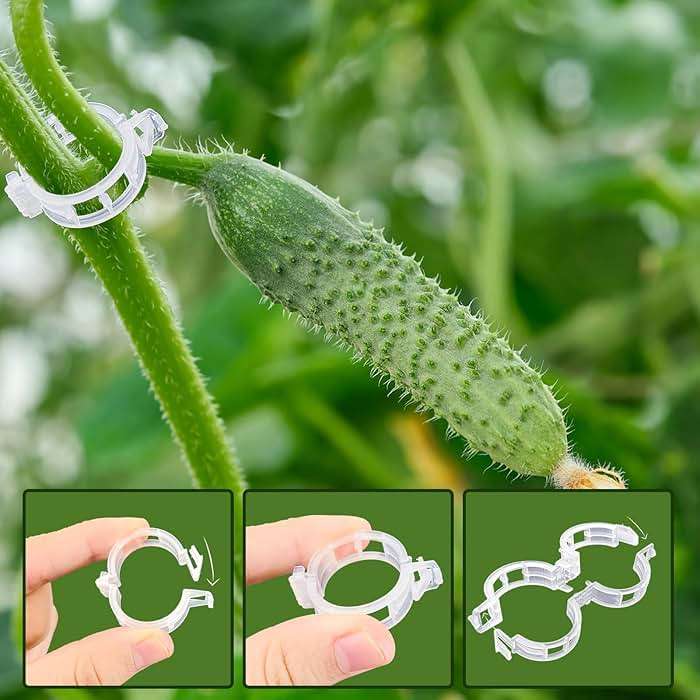 Anyumocz 400 Pcs Plant Support Clips, Snap-On Trellis Clips for Climbing Plants, Tomato & Grape Vine Support, 1" Inner Diameter Plastic Garden Clips to Grow Upright (White) - Image 5