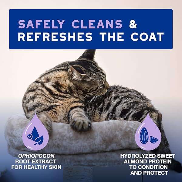 DOUXO SPA Waterless Cat Shampoo, 10 fl oz, Leave-On Mousse. Leaves the Coat Clean, Refreshed, Soft, Radiant and Smelling Great, Ultra-Safe Formula - Image 3